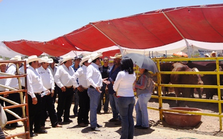 TODO UN ÉXITO EL TIANGUIS GANADERO