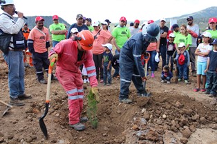 REALIZA MINERA SAUCITO CAMPAÑA DE REFORESTACIÓN