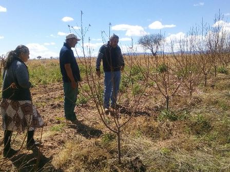 INVITAN A FRUTICULTORES INSCRIBIRSE AL PROGRAMA 