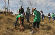 INICIA GOBIERNO DEL ESTADO CAMPAÑA DE REFORESTACIÓN 2019 EN LA BUFA