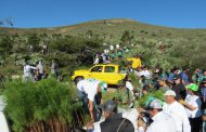 UNEN ESFUERZOS GOBIERNO Y SEDENA PARA REFORESTAR EL ECOPARQUE CENTENARIO 