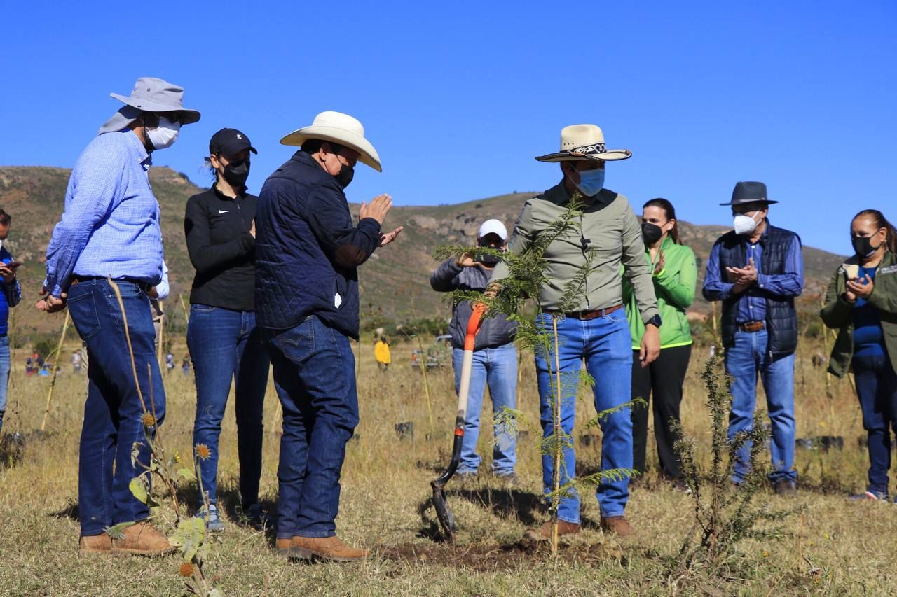 Llama Gobernador David Monreal a implementar una campaña permanente de reforestación en Zacatecas