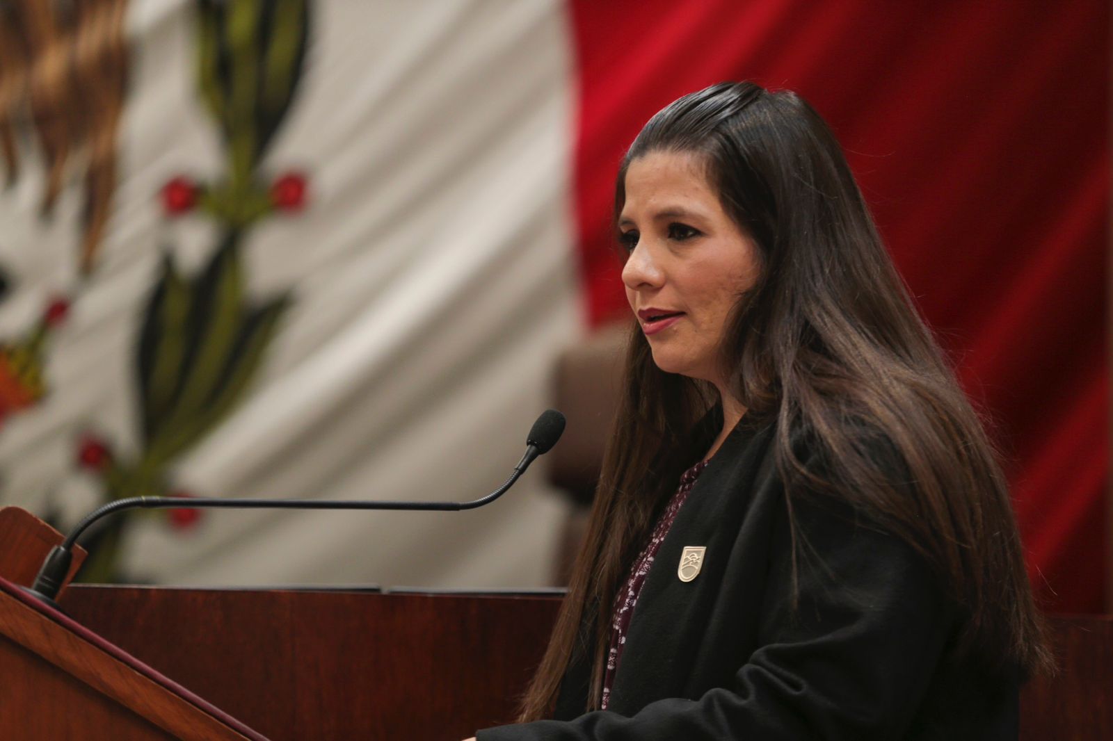 El diálogo, fundamental para la transformación y reconstrucción de Zacatecas: Gabriela Pinedo