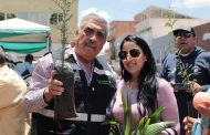 CON DONACIÓN DE ÁRBOLES, CONTINÚA SEMANA DE MEDIO AMBIENTE EN FRESNILLO