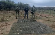 Desmantelan Fuerzas de Seguridad campamento utilizado por grupo delincuencial en Tepetongo; se aseguran cartuchos y cargadores